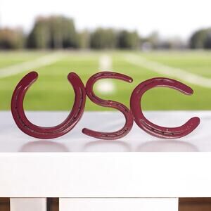 Steel Horse Shoe USC University South Carolina Gamecocks Wall Art Decor Handmade